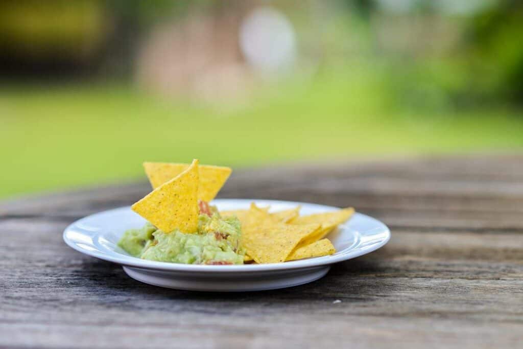 Plate of guacamole and chips