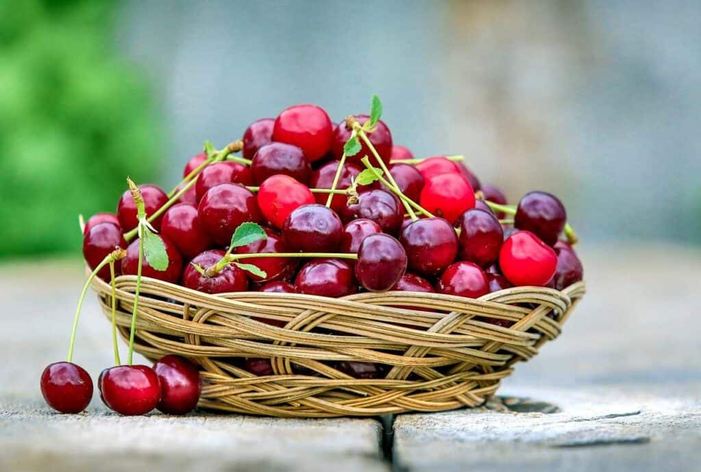 Basket of cherries