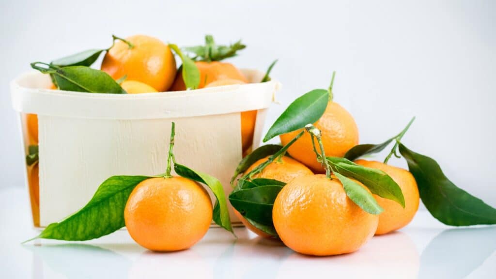 Basket of clementines